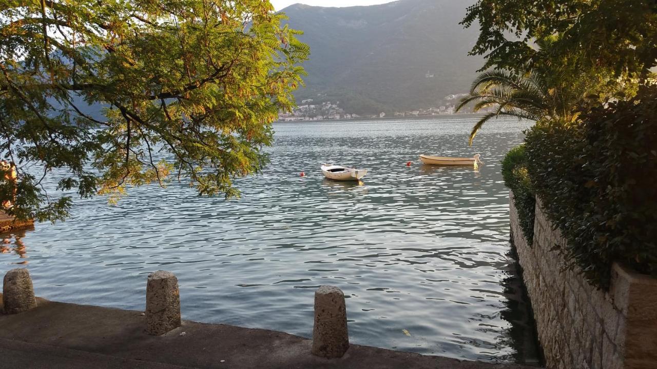 Azure Adriatic Lägenhet Kotor Exteriör bild