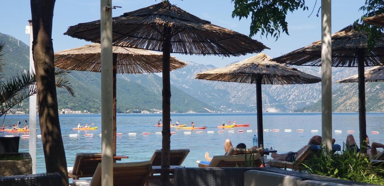 Azure Adriatic Lägenhet Kotor Exteriör bild